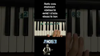 Любэ Конь Выйду ночью с конём на пианино 🎹 Обучение