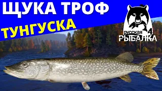 ЩУКА ТРОФЕЙНАЯ (15 кг ) ТУНГУСКА ► Супер Клёв / ФАРМ ✅ РУССКАЯ РЫБАЛКА 4 🔴 Russian Fishing 4 🔴 РР4