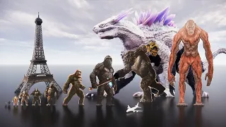 Kong evolution against Shimo size | 3D comparison