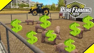 ОЧЕНЬ ЛЁГКИЕ ДЕНЬГИ НА ХРЯКАХ в Pure Farming 2018