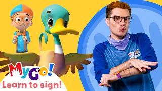 Learn Sign Language with Blippi Wonders! Ducks | MyGo! | ASL for Kids