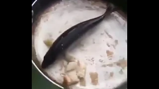 Рыбалка на Сахалине / Юмор