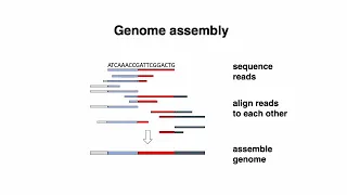 (2022) MCB 182 Lecture 1 - DNA Sequencing