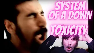 PRO SINGER'S first REACTION to SYSTEM OF A DOWN - TOXICITY