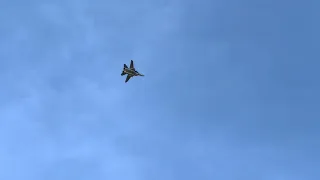 Freewing F-14 twin 80mm Crash 😱