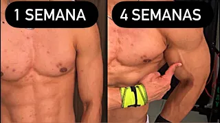 Aumente os Braços em 4 SEMANAS! (Exercícios Em Casa)