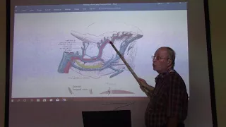 Anatomy of head & neck 76 ( Tongue , part 2 ) , by Dr. Wahdan