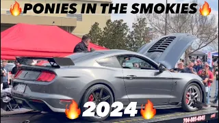 Ponies in the Smokies 2024 Mustang Car Show Part 1 #shorts #viral #cars #mustang #ford #shelby