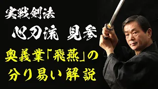 奥義業「飛燕」の分り易い解説動画です。（2024）