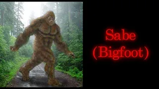 Why Would the Government Hide the Existence of Sasquatch/Bigfoot (Sabe)?