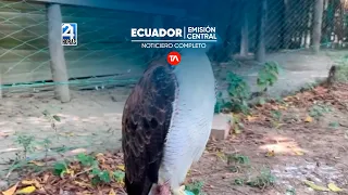 Noticiero de Ecuador (Emisión Central 26/05/24)