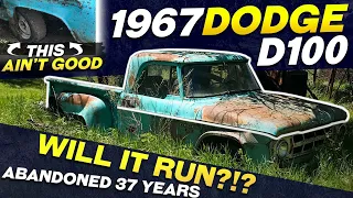 Forgotten Farm Truck! 1967 Dodge D100 Utiline Abandoned For 37 Years! Will it Run?!?