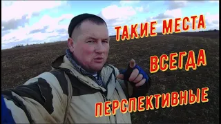 Оторвался вдоль ЖД. Что нельзя забирать с места КОПа. Много находок с выбитых мест. ПОИСК В РБ