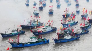 Fishy Business: Chinese fishing ships ruining the marine life near Galapagos islands