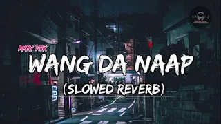 Wang Da Naap ( Slowed and Reverb ) #ammyvirk #punjabi #slowed #lofi