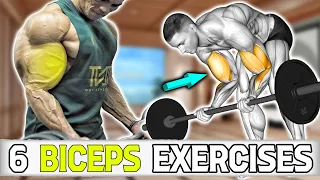 6 Fastest Huge Biceps Workout ( Best exercises )