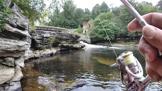 Very Easy Way To Catch Fish! Simple But Extremely Effective Setup!