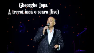 Gheorghe Țopa - A trecut incă o seară