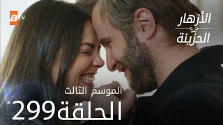 مسلسل الأزهار الحزينة | الحلقة 299 - الموسم الثالث