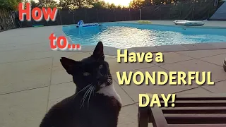 Ep 4: How to have a wonderful day!