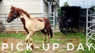 Pick-Up Day | 2019 Mustang TIP Challenge