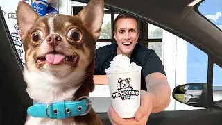 I opened a Puppuccino Drive Thru for Dogs! 🐶☕