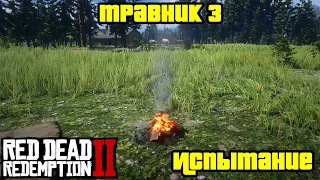 Прохождение RDR 2 на 100% - Испытание: Травник 3 (Глава 2 - Нагорье Подкова)