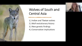 Webinar - Unraveling the Evolutionary History of Wolves in South and Central Asia