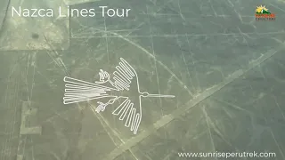 Nazca Lines Tour and Ballestas Island From Lima