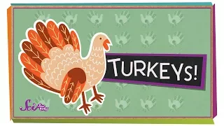 Fun Facts About Turkeys! | Fall Science | Holiday Science | SciShow Kids