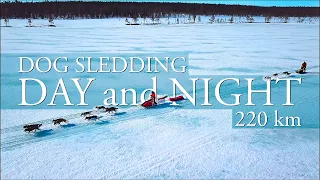 220 km DOG SLEDDING Day and Night & WINTER Wild CAMPING in the ARCTIC