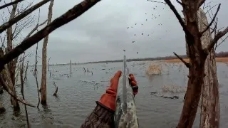 RESERVOIR MALLARDS!! (Limited Out) Public Land Duck Hunting