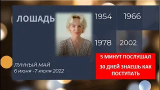 Родился в год Лошади 午 Смотри.