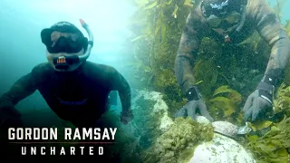 Gordon Goes Diving For Paua | Gordon Ramsay: Uncharted