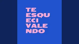 Te Esqueci Valendo (Cover)