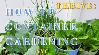 "How to Thrive: Container Gardening in the Concrete Jungle"