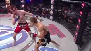 Bellator MMA: Marcin Held takes on Tiger Sarnavskiy