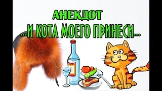 АНЕКДОТ ПРО КОТА