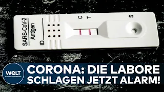 CORONA: Omikron-Welle! Labore schlagen jetzt Alarm! Bei PCR-Tests an der Grenze der Auslastung