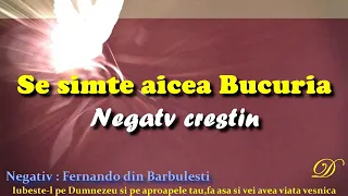 Se simte se simte aicea bucuria