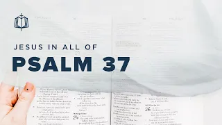 Psalm 37 | Do Not Be Anxious | Bible Study