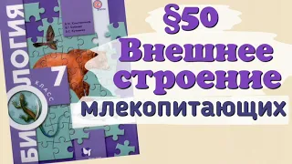 Краткий пересказ §50 Внешнее строение млекопитающих. Биология 7 класс Константинова Бабенко