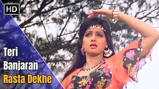 Teri Banjaran Rasta Dekhe | Banjaran (1991) | Rishi Kapoor | Sridevi | Alka Yagnik Hit Songs