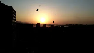 Beautiful Sunrise Time-Lapse in Tehran Iran with Nokia 6.1 plus