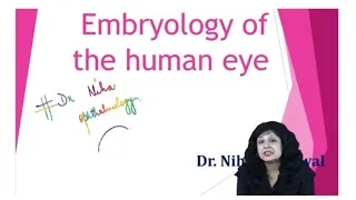 Development of Eye || Dr. Niha Aggarwal