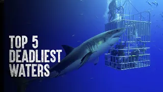 The Most Dangerous Places to Swim in the World