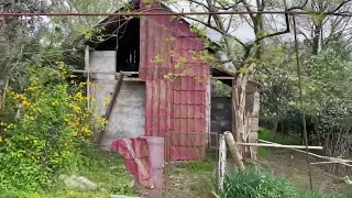 Продаётся дом с земельным участком у реки, рядом море, 12 км. от Батуми.