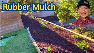 Remove Existing Ground Cover and Replaced with Rubber Mulch and Plants