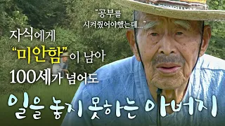 월사금을 내지 못해 공부를 포기시킨 아들에게 미안해  100세가 넘어도 농사일을 놓지 못하는 아버지┃장수의 비밀┃알고e즘