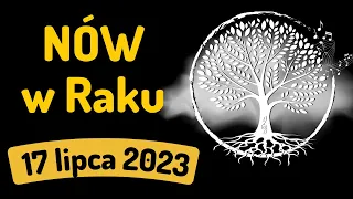 NÓW KSIĘŻYCA W ZNAKU RAKA 🌑17 lipca 2023🌑 prognoza Tarota - wszystkie znaki